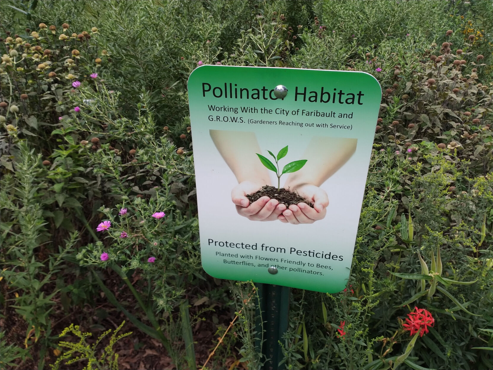 bee-lawn-pollinator-sign-central-park-copy.jpg
